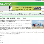 田辺扇ヶ浜ビーチサッカーフェスティバル2012に引き続き