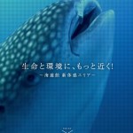 背景全面に動画を使っている、おしゃれ海遊館