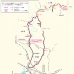 南紀田辺ＵＭＥロードマラソン参戦！