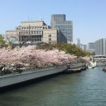 扇町公園・西天満公園・野崎公園、中央公会堂のさくら