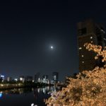 大川沿いの夜桜と満月