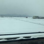 一面雪の米原駅、意外に近い彦根城