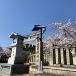 いくたまさん（生國魂神社）の桜