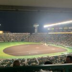 久しぶりの甲子園と見やすいシートがいつの間にか