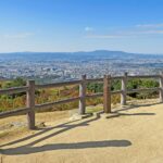 阿倍仲麻呂「天の原ふりさけ見れば春日なる三笠の山に出でし月かも」