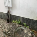第一小学校前の、八坂神社にある弁慶腰掛の岩