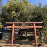 紀伊田辺駅裏の愛宕山の愛宕神社さんにダッシュで駆け上がる