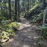 熊野古道中辺路や高野参詣道を道普請してくれている皆様